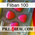 Fliban 100 13